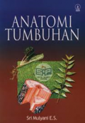 Anatomi Tumbuhan